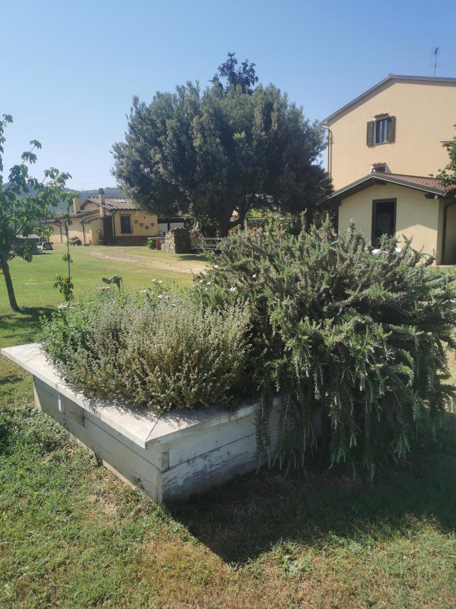 Podere Serena Castagneto Carducci Exterior foto