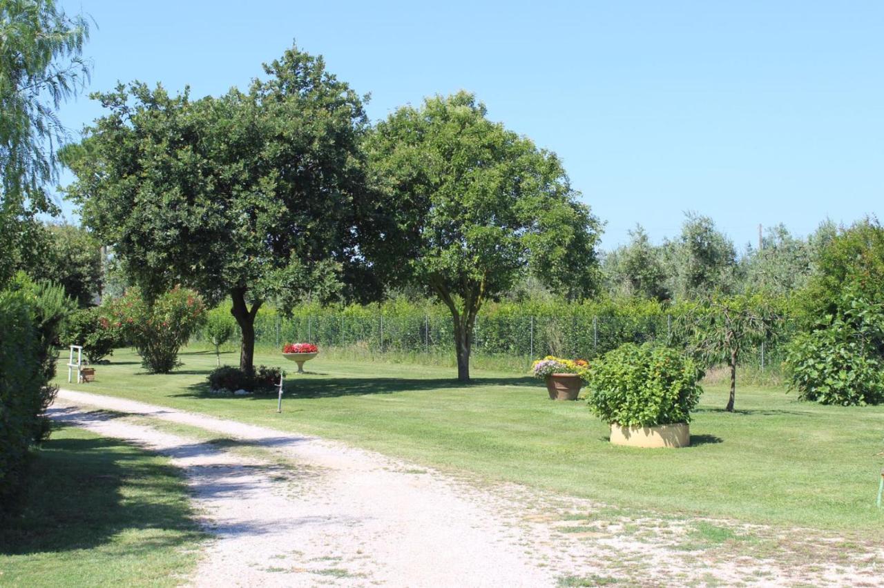 Podere Serena Castagneto Carducci Exterior foto
