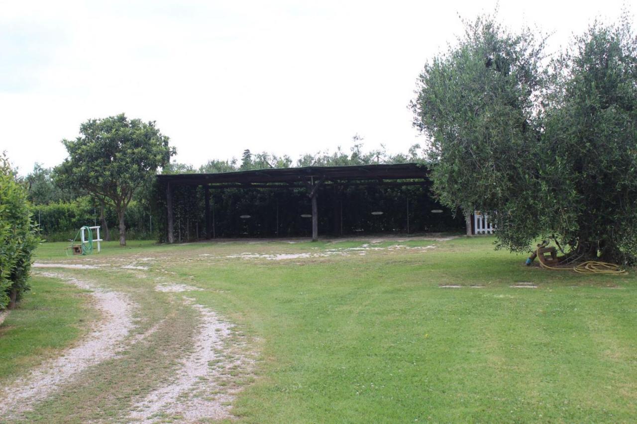 Podere Serena Castagneto Carducci Exterior foto
